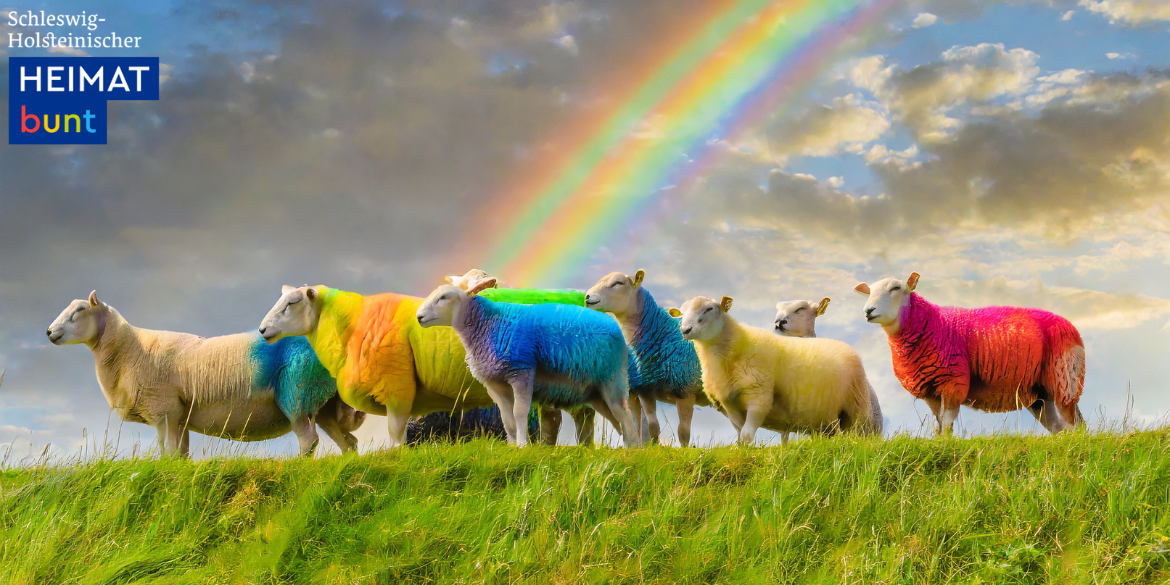 Regenbogen und bunte Schafe auf Deich