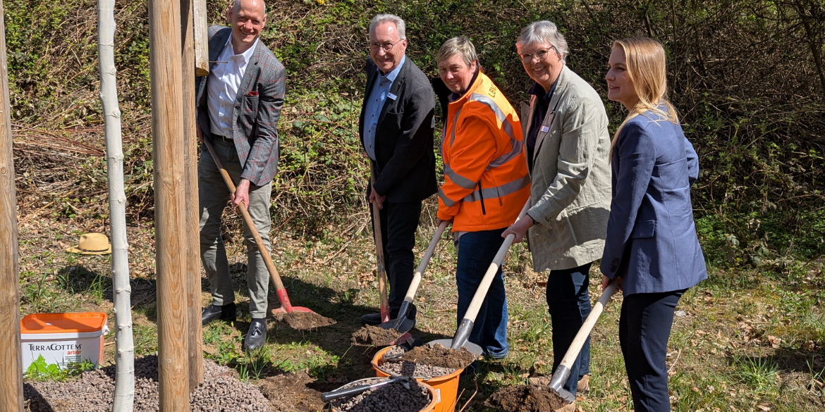 Fünf Personen mit Spaten pflanzen einen Baum