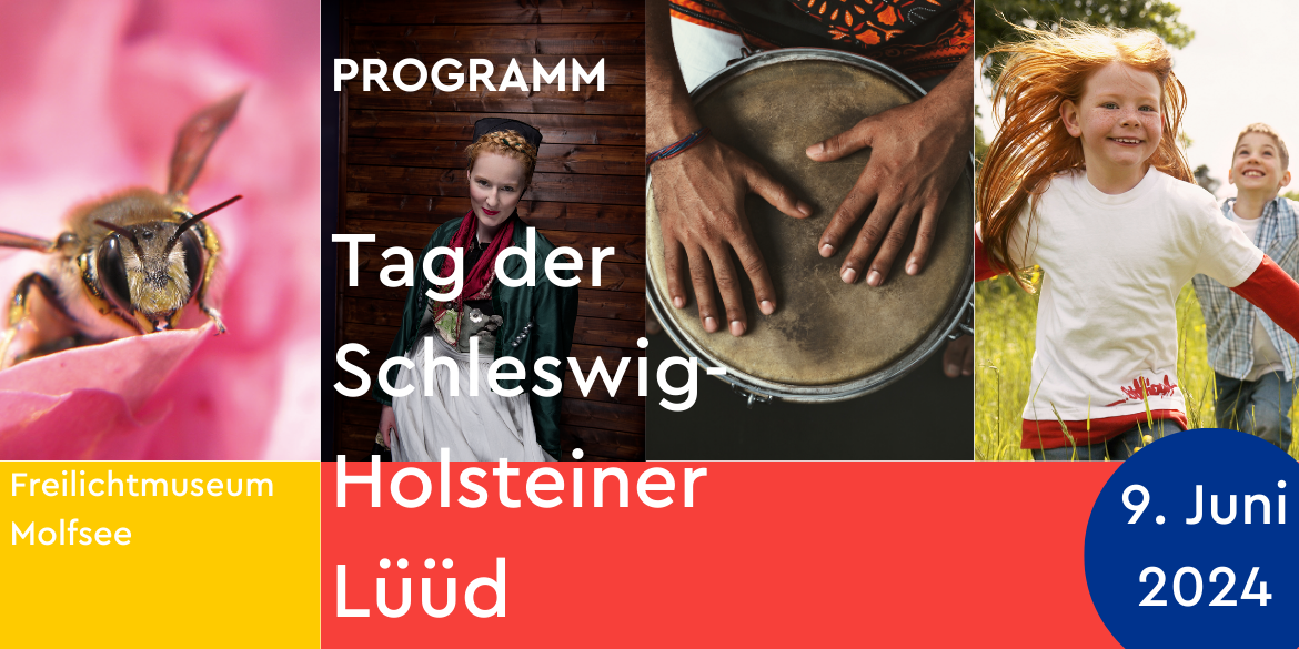 Programm des Tags der Schleswig-Holsteiner Lüüd