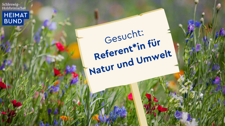 Blühwiese mit Schild "Gesucht: Referent*in für Natur und Umwelt" © piolka / Getty Images