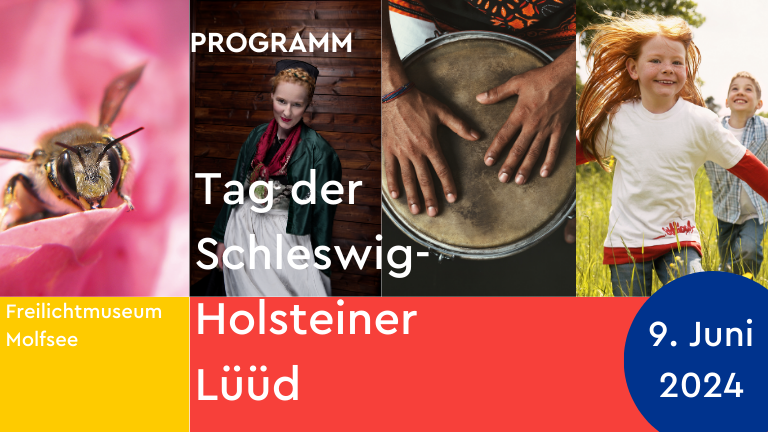 Programm des Tags der Schleswig-Holsteiner Lüüd