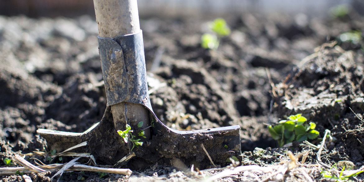 Spaten in frischer Erde