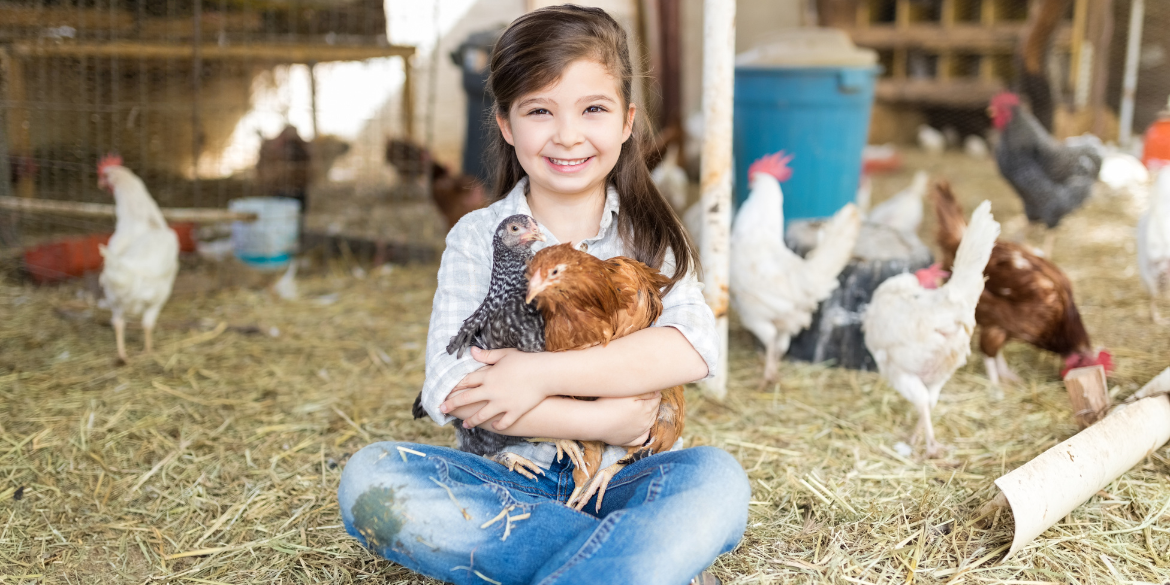Kind in Hühnerhof mit zwei Hühnern auf dem Schoß