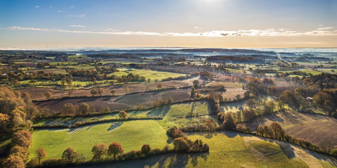 Knicklandschaft von oben