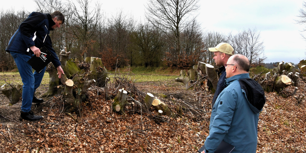 Drei Personen an einem Auf-den-Stock gesetzten Knick