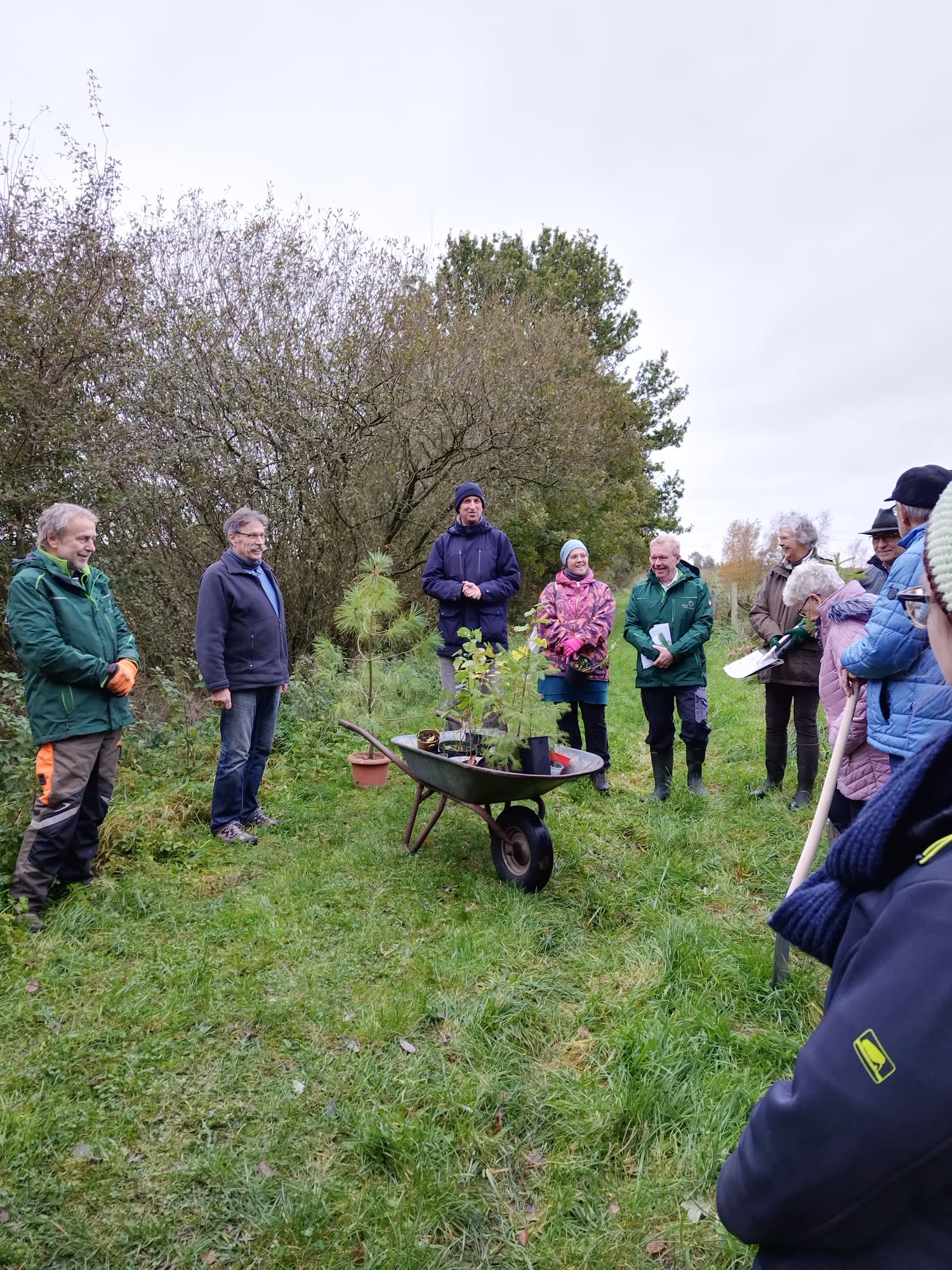 Einführung Baumpflanzung