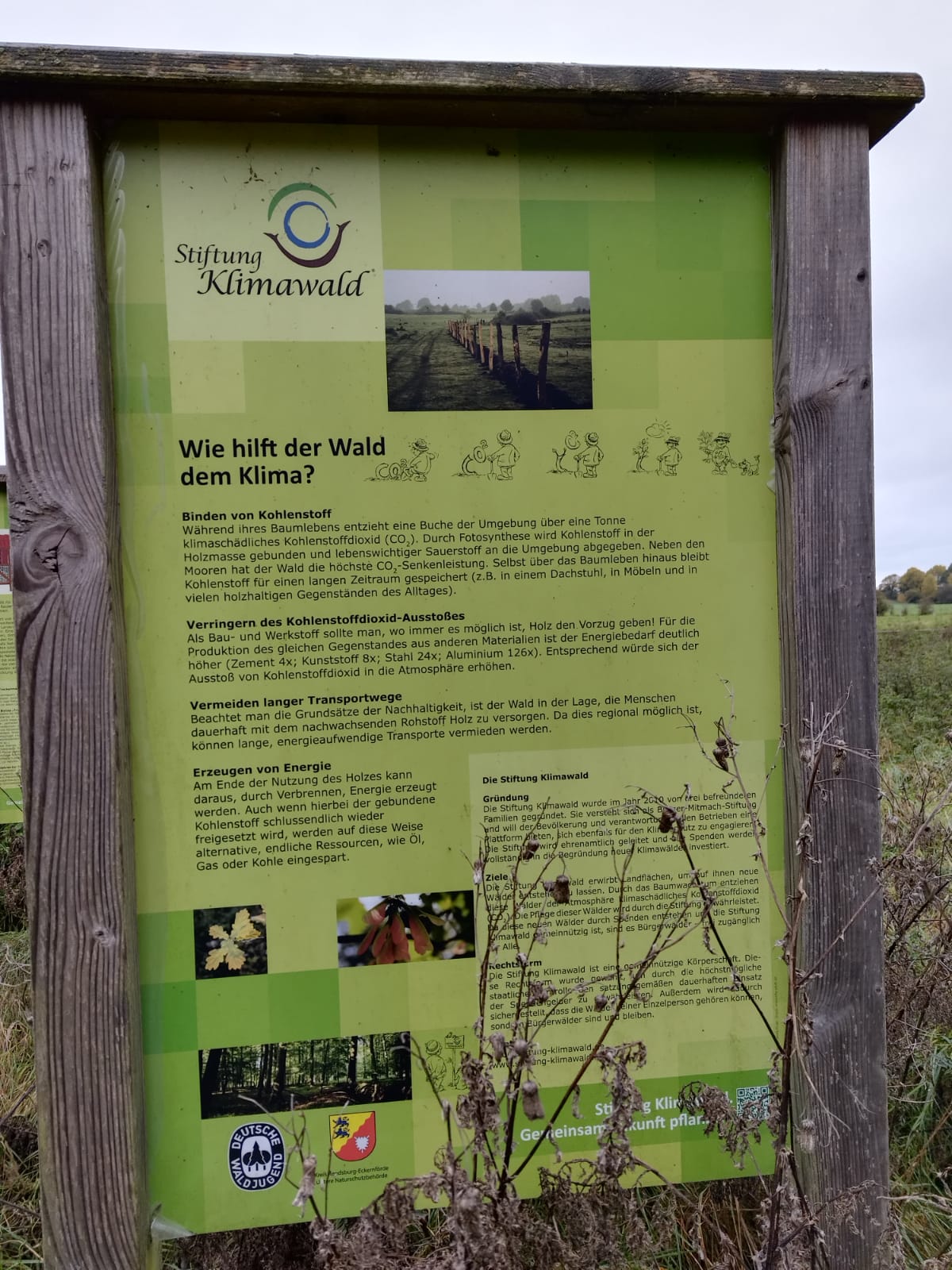 Klimawald-Hinweistafel